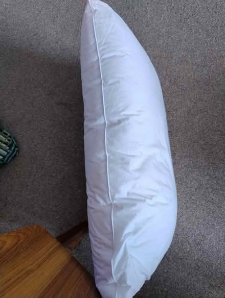 Photo of free Thick Dunelm pillow (Walderslade Bottom ME5) #3