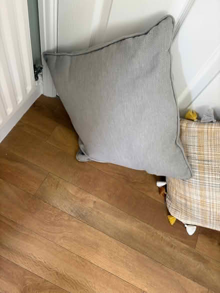 Photo of free Next cushions (Formby L37) #2