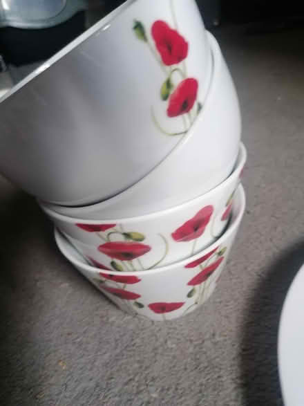 Photo of free Variety of plates and bowls (Norwich nr7) #3