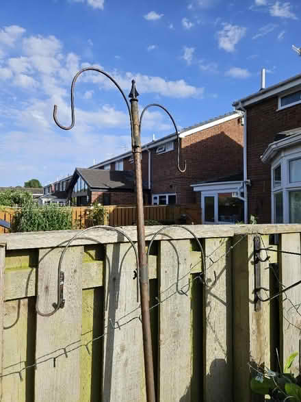 Photo of free metal bird feeder (Sunniside NE16) #2