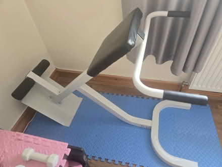 Photo of free Back extension bench (New Elgin IV30) #1