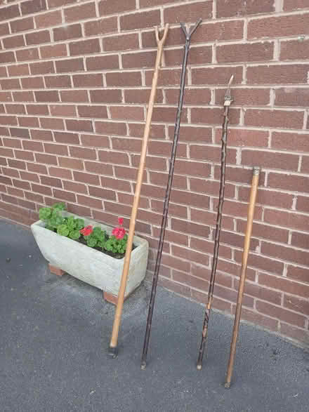 Photo of free Thumb sticks and walking cane (Copthorne) #2