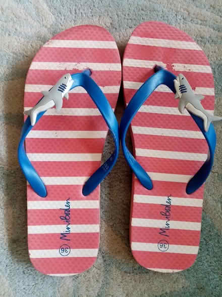 Photo of free Mini boden size 36 (Pimlico, SW1) #1