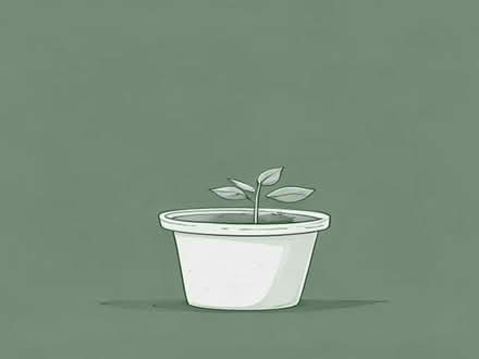 Photo of Large planting pots (Thingwall CH61) #1