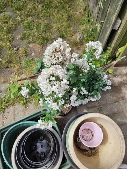 Photo of free Garden pots and a plastic plant. (Sunniside NE16) #1