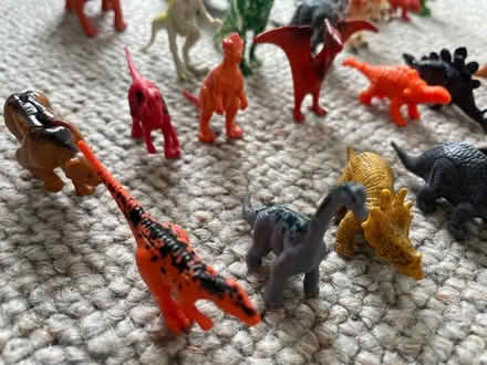 Photo of free 25 Mini Toy Dinosaurs (Chigwell IG7) #2