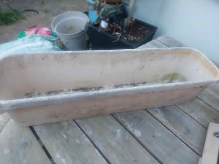 Photo of free Planter (SW16) #1