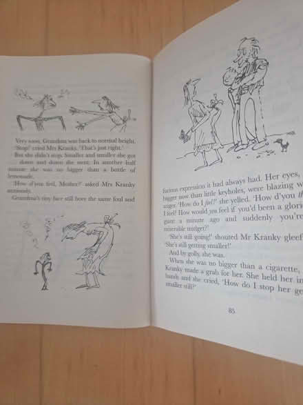 Photo of free Roald Dahl paperback (dorset BH12) #4