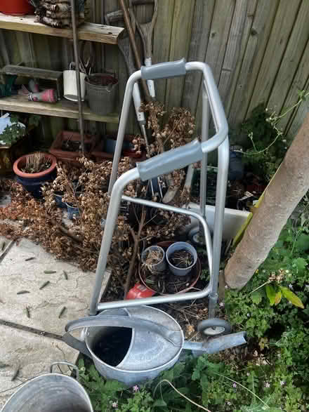 Photo of free Walker (Wimbledon Village SW19) #2