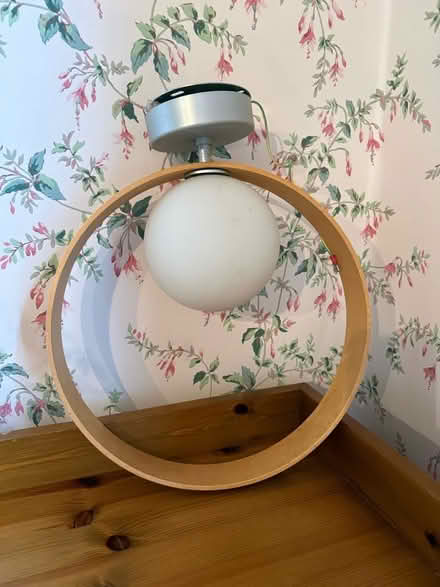 Photo of free Ceiling Light Fitting (Beckermet CA21) #1