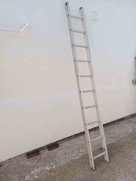 Photo of free Single section 9 foot ladder (Common Edge FY4) #2