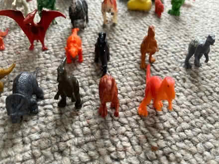 Photo of free 25 Mini Toy Dinosaurs (Chigwell IG7) #3