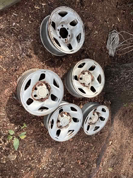 Photo of free rims (gunbarrel) #1