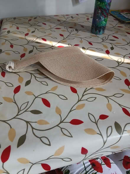 Photo of free Sun visor (Belmont SL6) #1