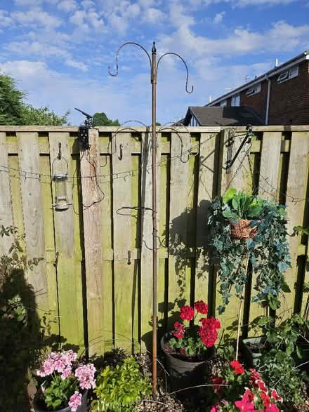 Photo of free metal bird feeder (Sunniside NE16) #4