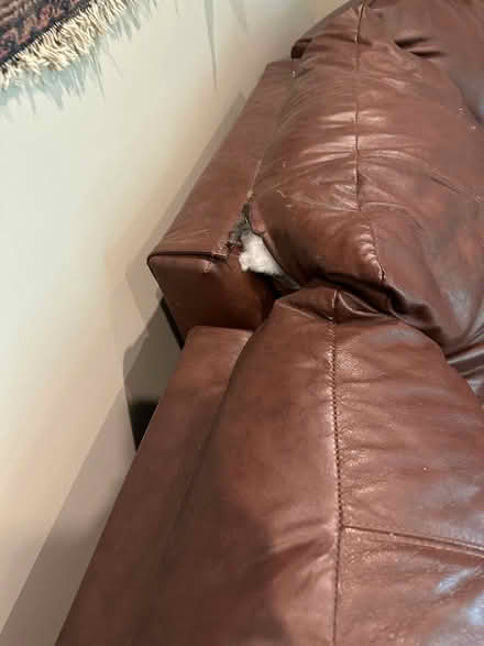 Photo of free Sectional Sofa w/ sleeper bed (Belle Meade) #3