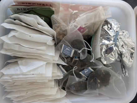 Photo of free Tea (Abingdon, OX14 3TD) #1