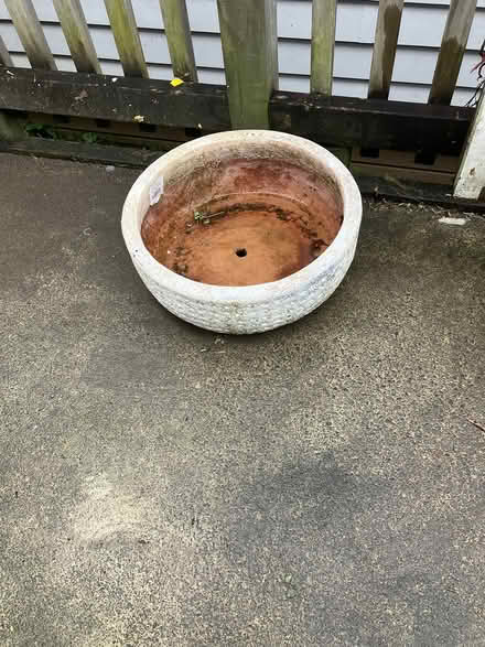 Photo of free Pot for plant (Glen Eden) #1