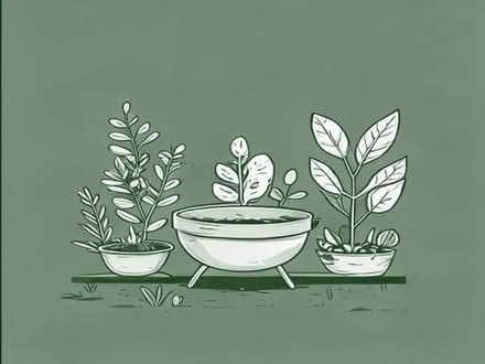 Photo of Garden plants and BBQ (Bridge of Don AB23) #1