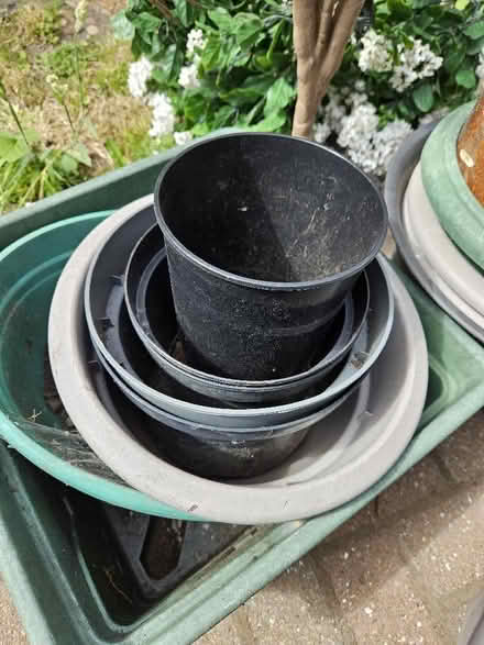 Photo of free Garden pots and a plastic plant. (Sunniside NE16) #2