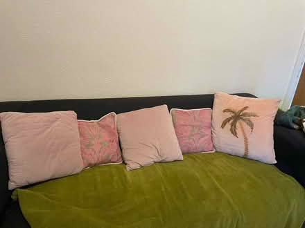 Photo of free assorted throw pillows (Clarendon Park LE2) #1