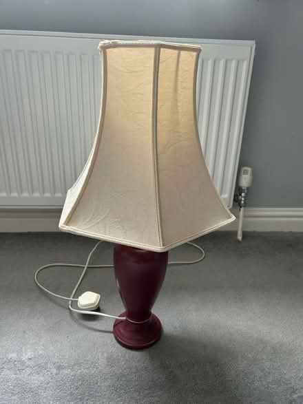 Photo of free Lamp (Woodcote RG8) #1