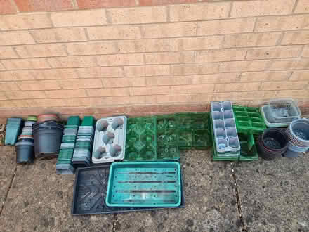 Photo of free Pots for seedlings (Emerson Valley MK4) #1