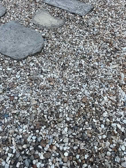 Photo of free Garden Stones (Wrexham) #2