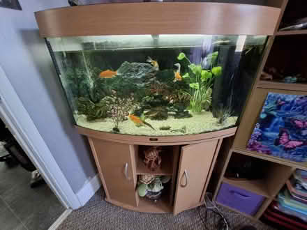 Photo of free Fish tank (Hillsborough S6) #3