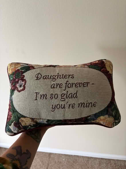Photo of free small pillow (frederick) #1
