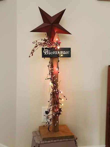 Photo of free Christmas star (Orleans near Petrie Island) #1