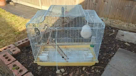 Photo of free Bird Cage (Woodley RG5) #1