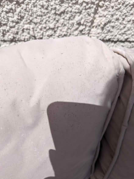Photo of free Rattan sofa (L199DG) #4