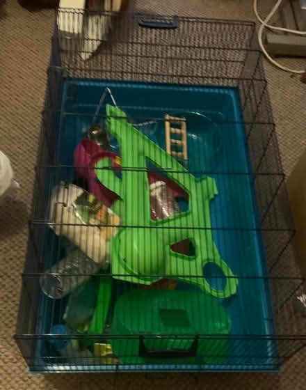 Photo of free Cafe for Guinea pigs/Rabbit (Levenshulme M19) #1