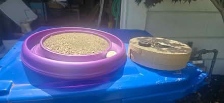 Photo of free Cat toy - River Plaza (Red Bank) #1