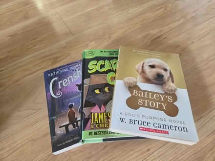 Photo of free 3 misc books (Bridgewater) #1