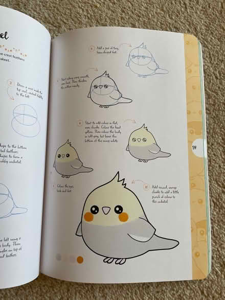 Photo of free Drawing book guide (Mill Hill (NW7)) #4