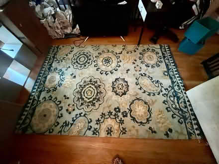 Photo of free Large rug (Alexandria) #1