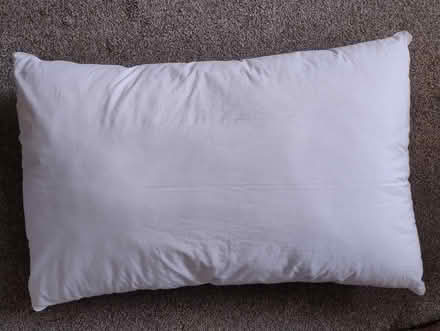 Photo of free Thick Dunelm pillow (Walderslade Bottom ME5) #2
