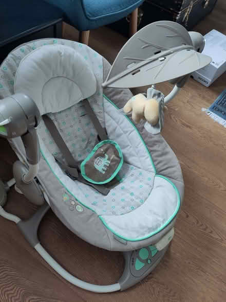 Photo of free Swinging baby seat (East Village E20) #2