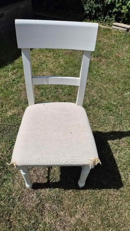 Photo of free 6 Laura Ashley chairs (Churchill Chipping Norton) #2