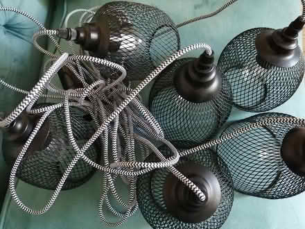 Photo of free Noma spider lights indoor/outdoors (Worcester) #2