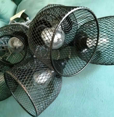 Photo of free Noma spider lights indoor/outdoors (Worcester) #1