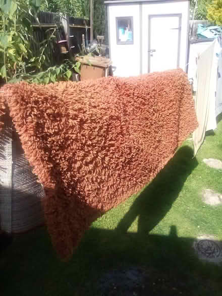 Photo of free Deep like rug (Malvern WR14) #1