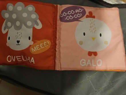 Photo of free Portuguese baby book (Littlemore OX4) #2
