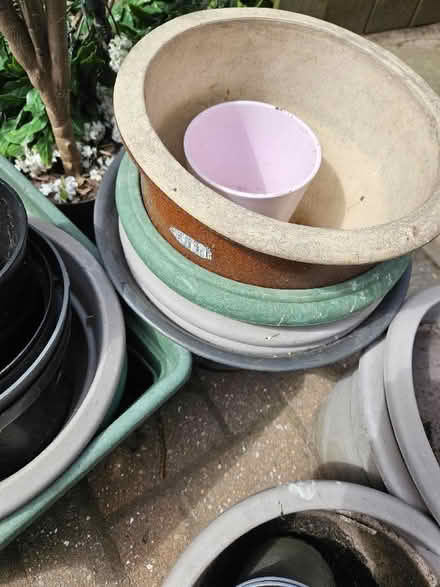 Photo of free Garden pots and a plastic plant. (Sunniside NE16) #3