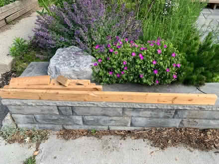 Photo of free Used lumber (East End Toronto) #2