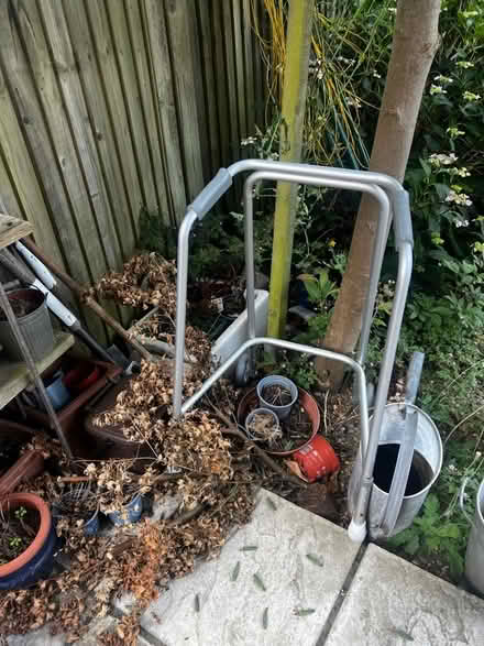 Photo of free Walker (Wimbledon Village SW19) #1