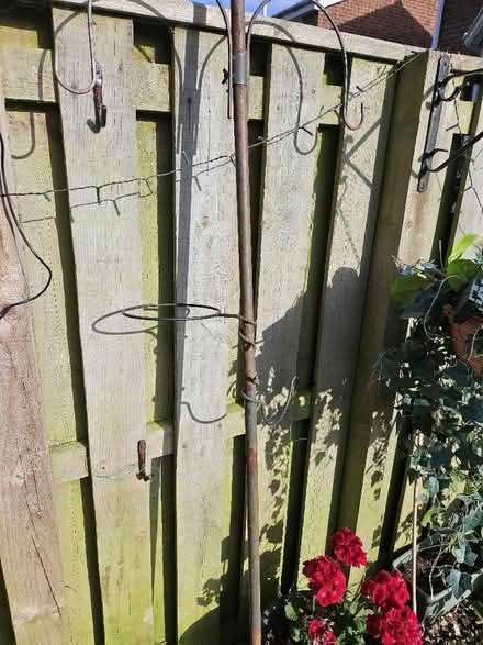 Photo of free metal bird feeder (Sunniside NE16) #1