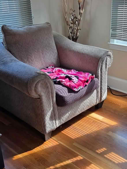 Photo of free Love Seats Single Chair (bridgeport) #1